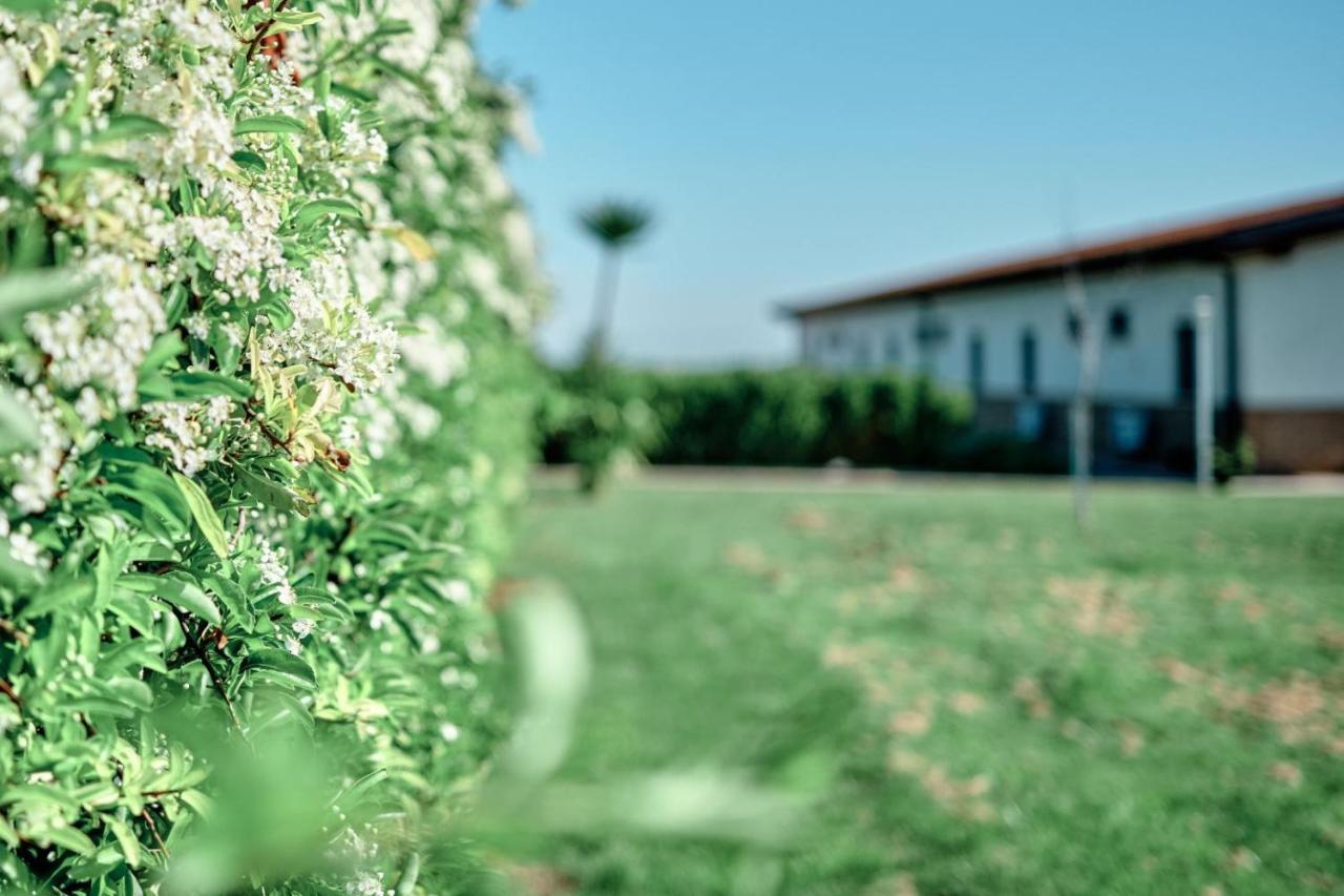 La Massaria Agriresort Orta Nova Экстерьер фото